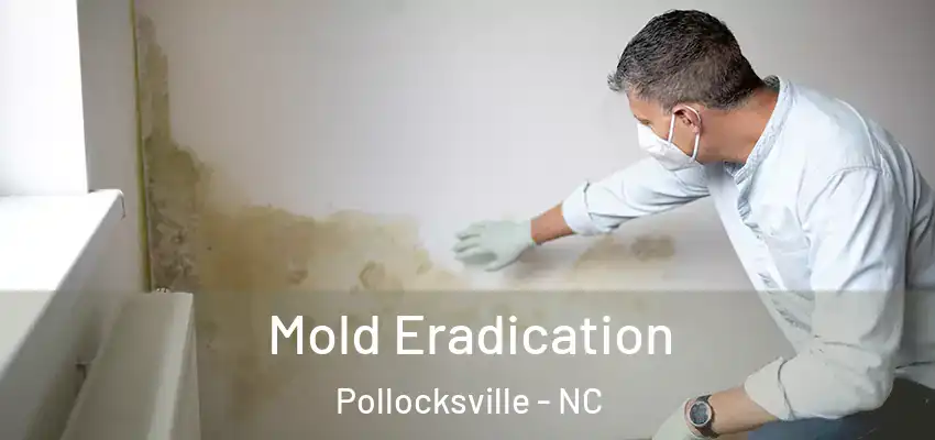 Mold Eradication Pollocksville - NC