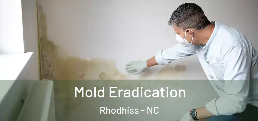  Mold Eradication Rhodhiss - NC