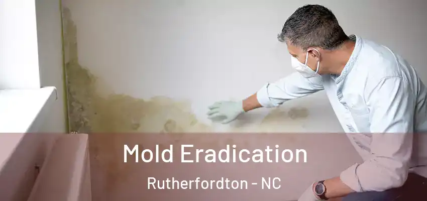 Mold Eradication Rutherfordton - NC
