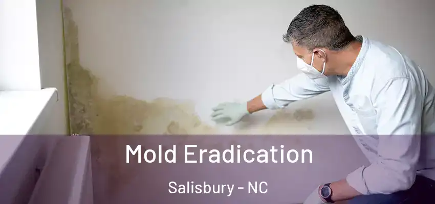 Mold Eradication Salisbury - NC