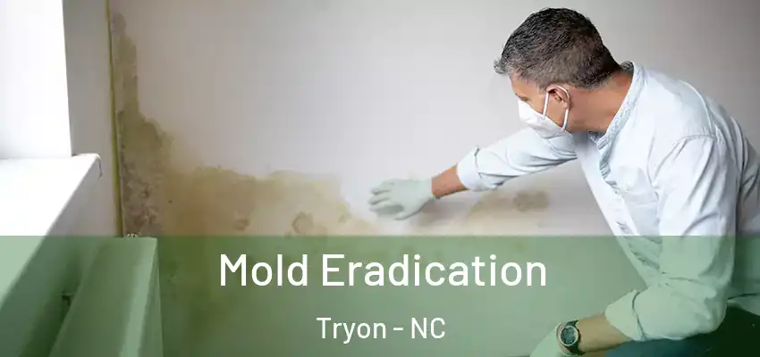  Mold Eradication Tryon - NC