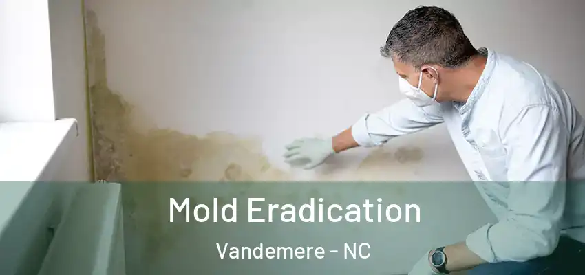  Mold Eradication Vandemere - NC