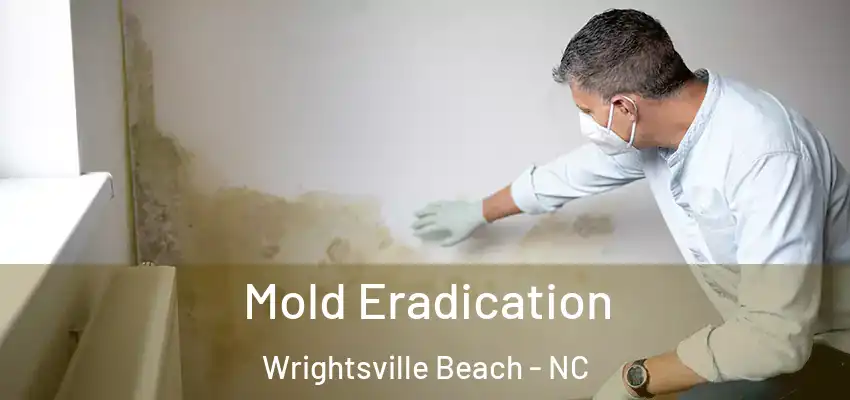  Mold Eradication Wrightsville Beach - NC