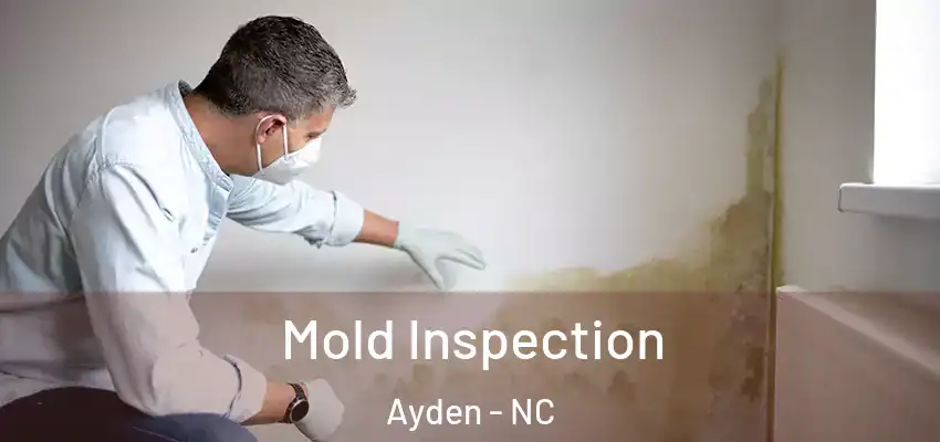  Mold Inspection Ayden - NC