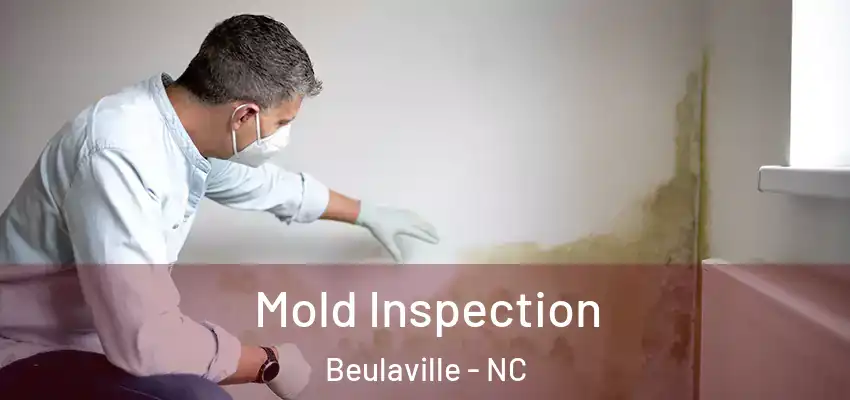 Mold Inspection Beulaville - NC