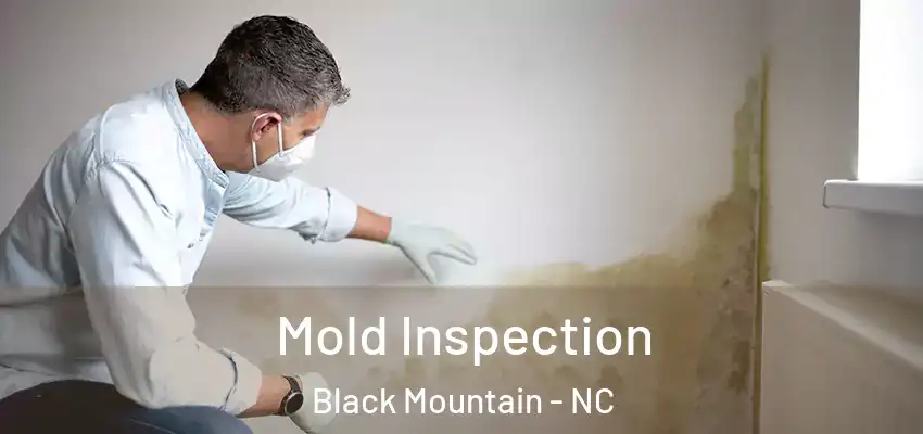 Mold Inspection Black Mountain - NC