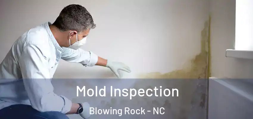  Mold Inspection Blowing Rock - NC