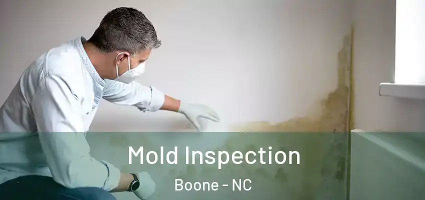  Mold Inspection Boone - NC