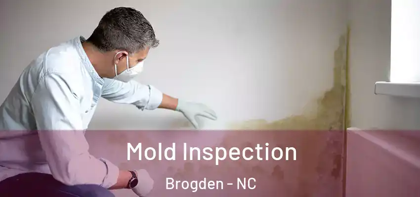  Mold Inspection Brogden - NC