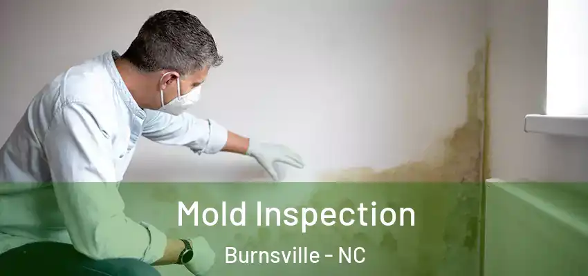 Mold Inspection Burnsville - NC