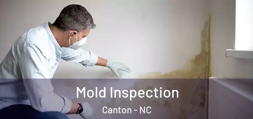 Mold Inspection Canton - NC