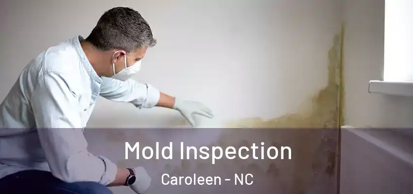  Mold Inspection Caroleen - NC