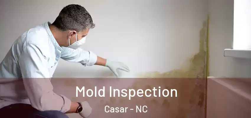 Mold Inspection Casar - NC