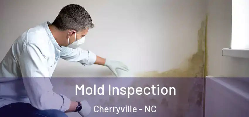 Mold Inspection Cherryville - NC