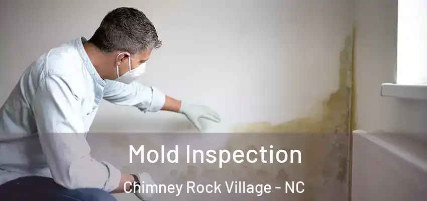  Mold Inspection Chimney Rock Village - NC