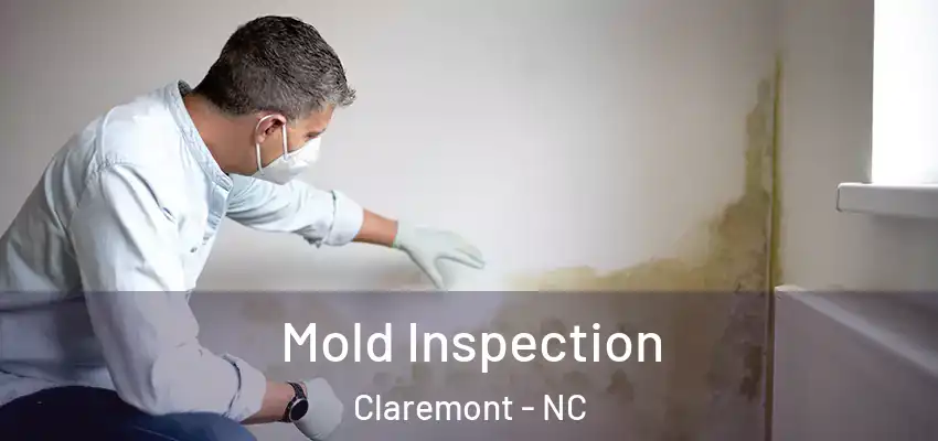  Mold Inspection Claremont - NC