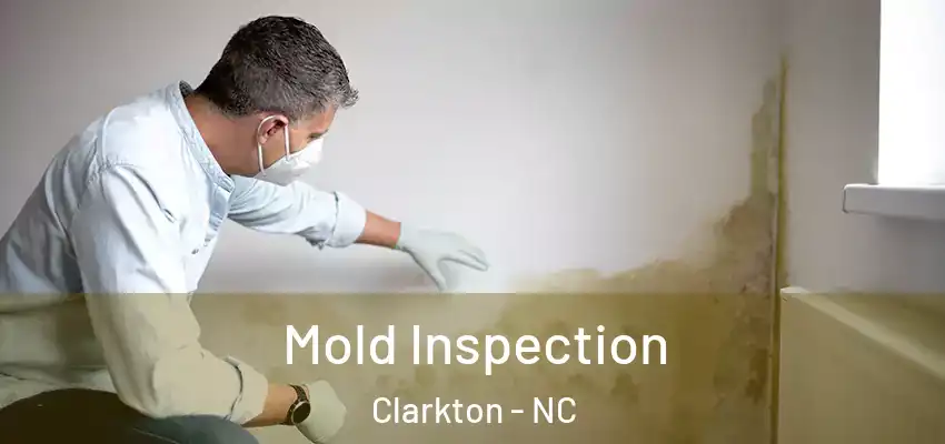 Mold Inspection Clarkton - NC