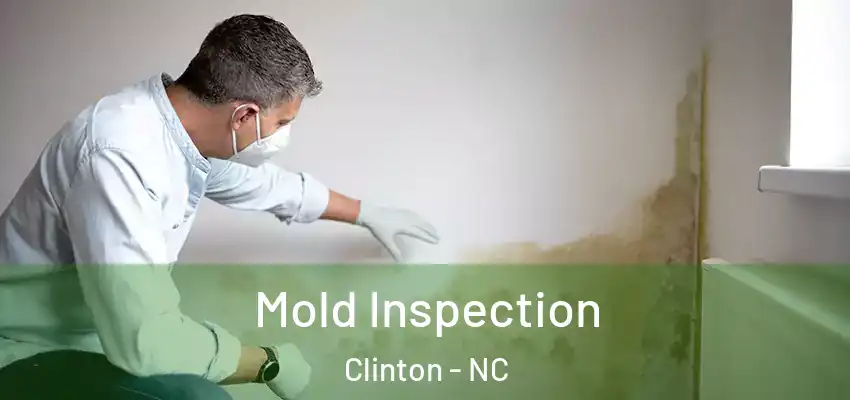  Mold Inspection Clinton - NC