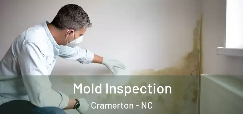  Mold Inspection Cramerton - NC