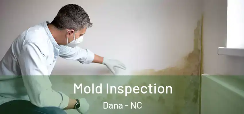  Mold Inspection Dana - NC
