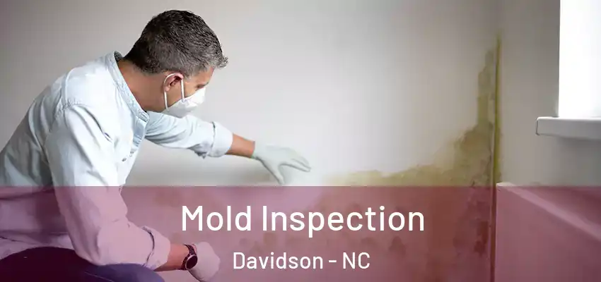 Mold Inspection Davidson - NC
