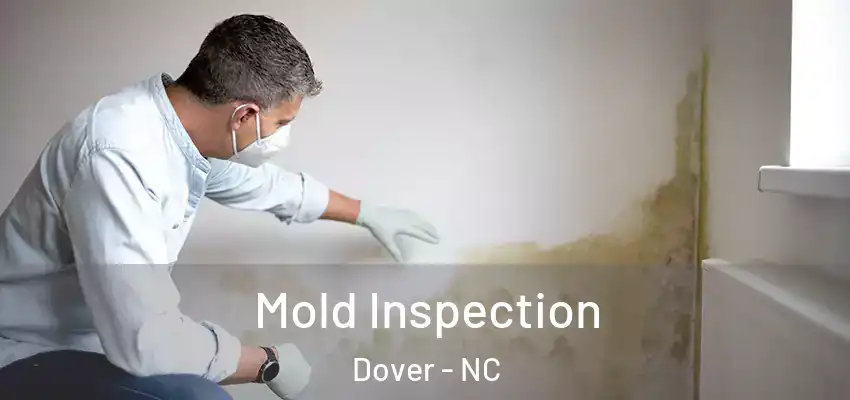  Mold Inspection Dover - NC