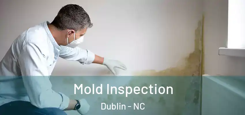 Mold Inspection Dublin - NC