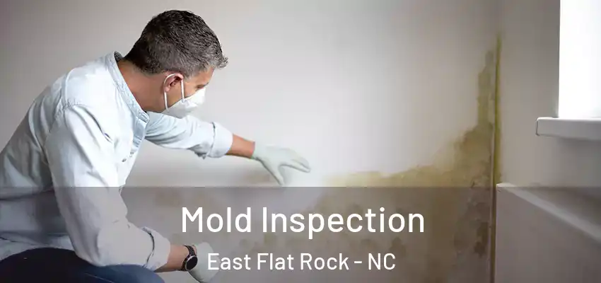  Mold Inspection East Flat Rock - NC