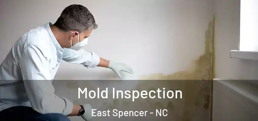  Mold Inspection East Spencer - NC