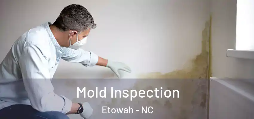  Mold Inspection Etowah - NC