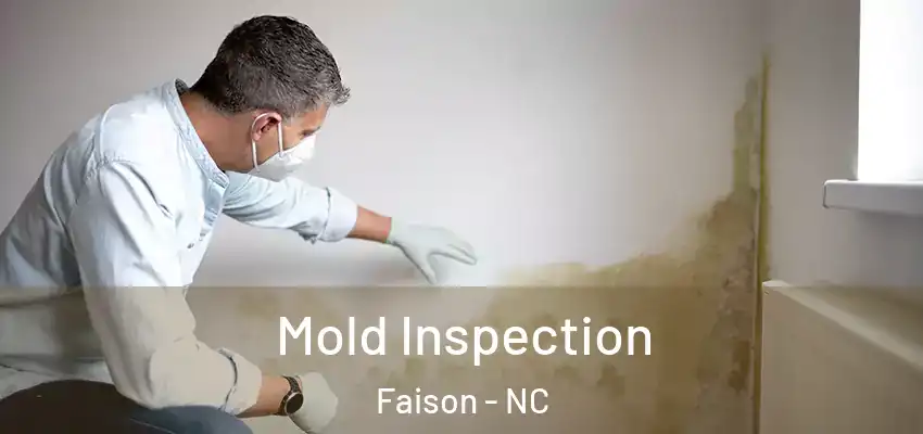  Mold Inspection Faison - NC