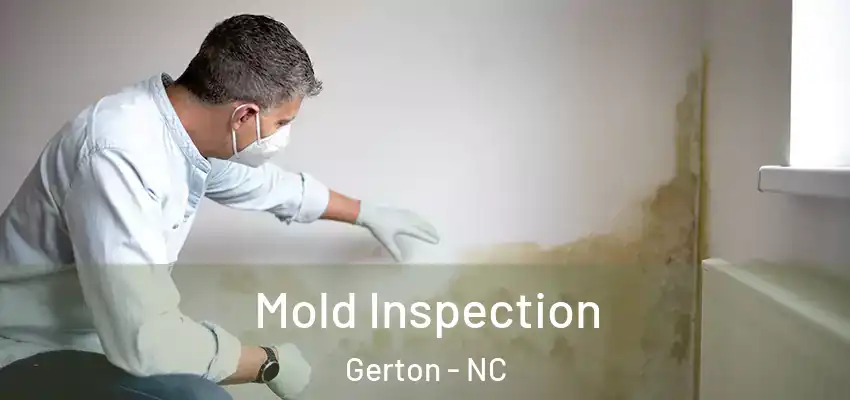  Mold Inspection Gerton - NC