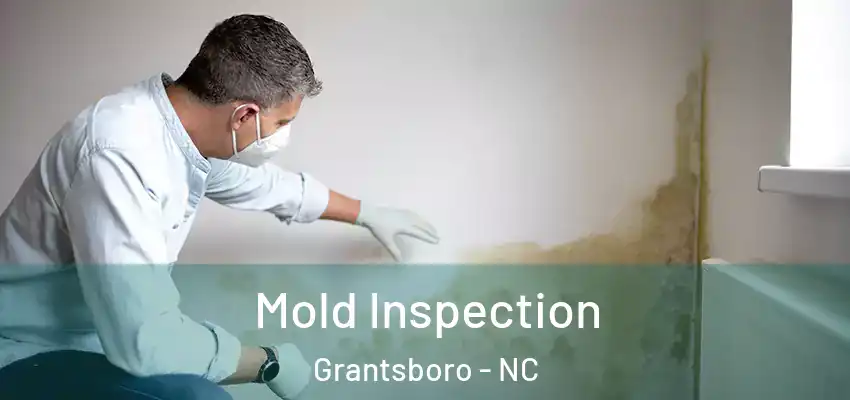  Mold Inspection Grantsboro - NC