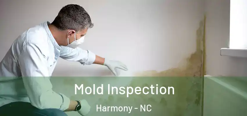 Mold Inspection Harmony - NC