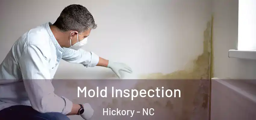  Mold Inspection Hickory - NC