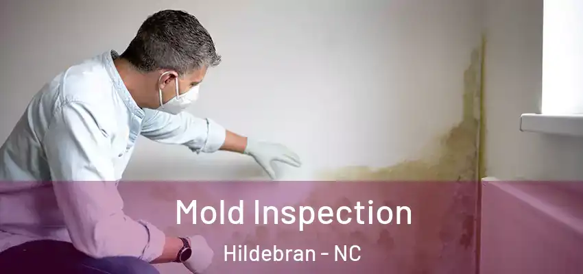 Mold Inspection Hildebran - NC