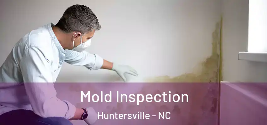  Mold Inspection Huntersville - NC
