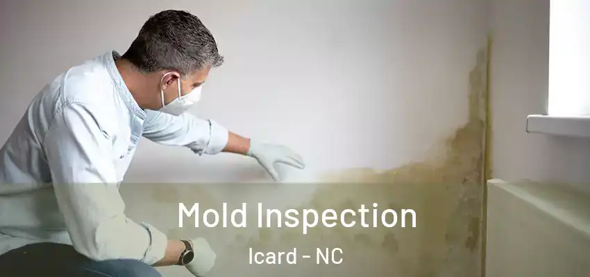  Mold Inspection Icard - NC