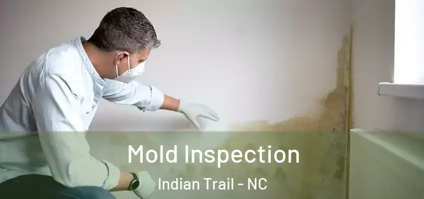 Mold Inspection Indian Trail - NC