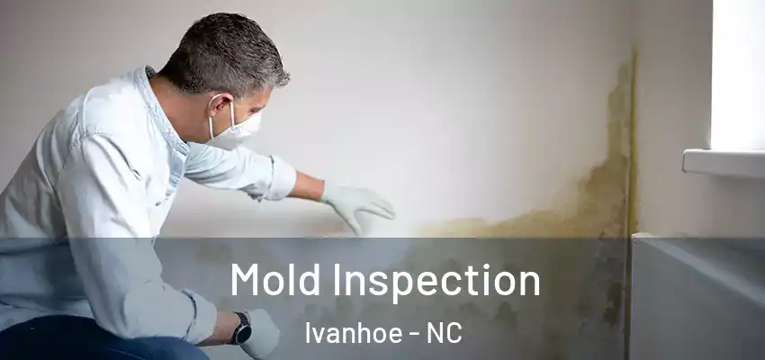  Mold Inspection Ivanhoe - NC