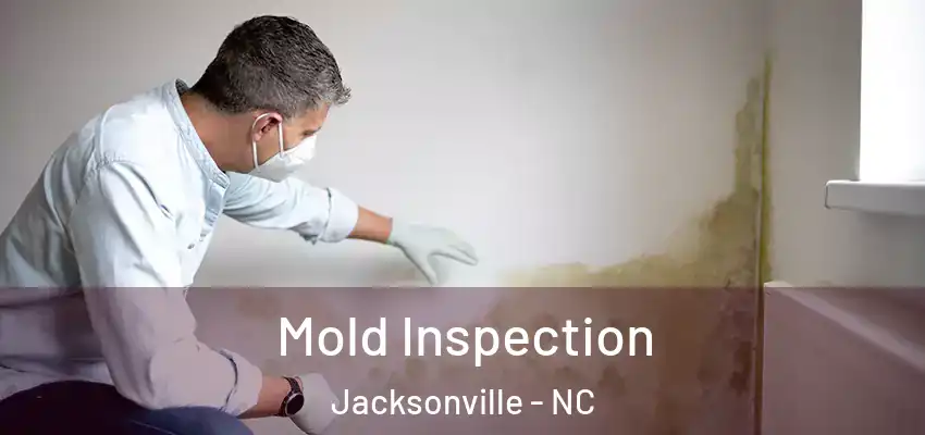  Mold Inspection Jacksonville - NC