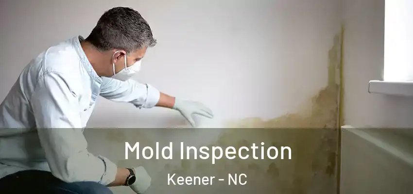  Mold Inspection Keener - NC