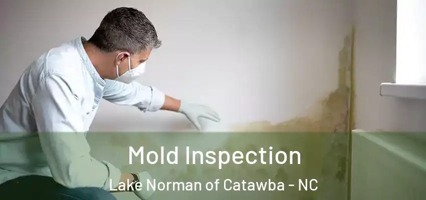  Mold Inspection Lake Norman of Catawba - NC