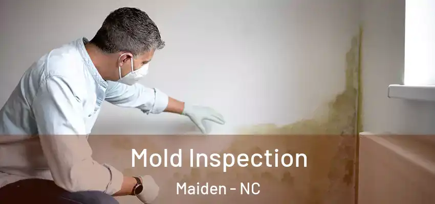  Mold Inspection Maiden - NC