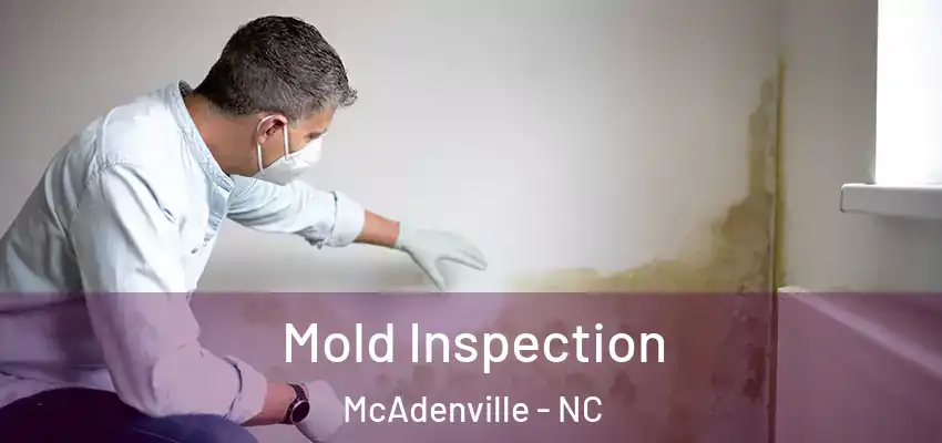  Mold Inspection McAdenville - NC