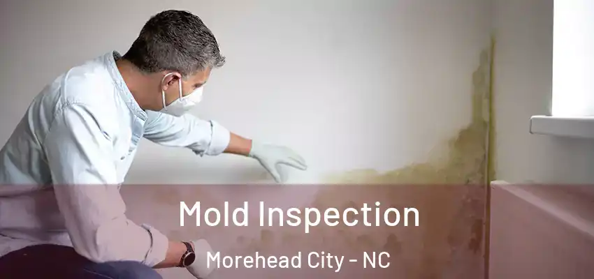  Mold Inspection Morehead City - NC