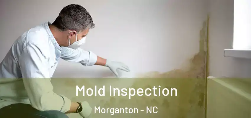  Mold Inspection Morganton - NC