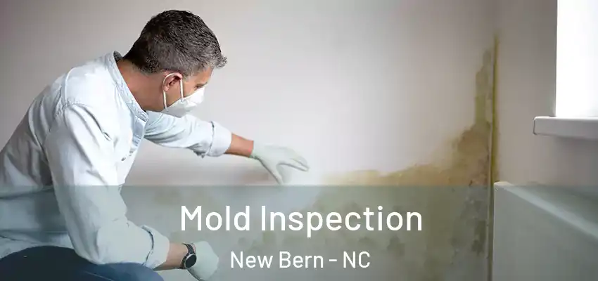 Mold Inspection New Bern - NC
