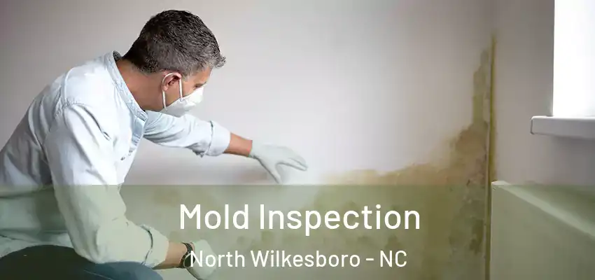  Mold Inspection North Wilkesboro - NC