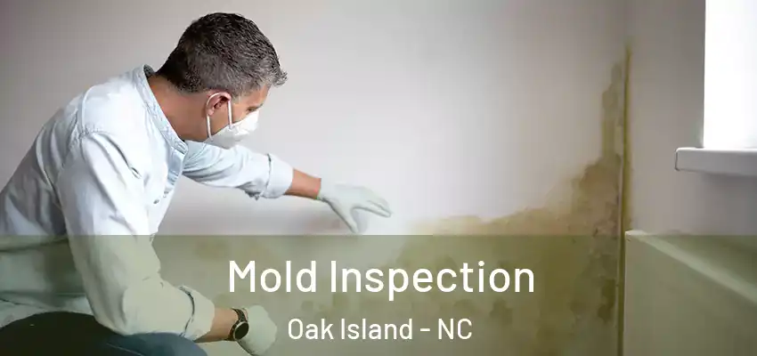  Mold Inspection Oak Island - NC